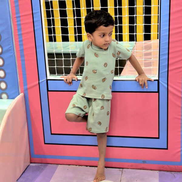 Cozy Hedgehog  Kids' Co-ord Set (with snap button)